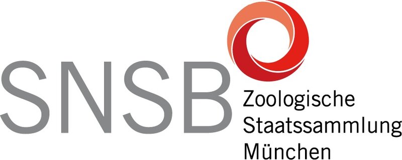 Logo snsb
