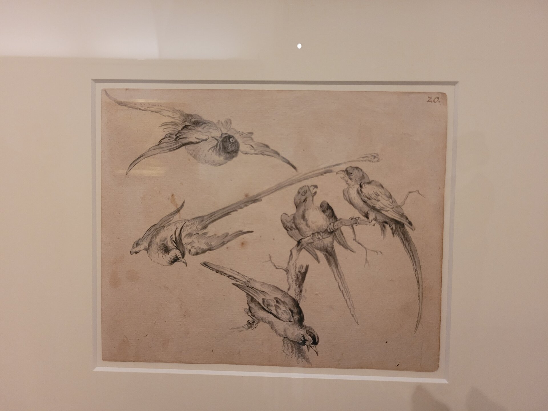 Bild der Ausstellung