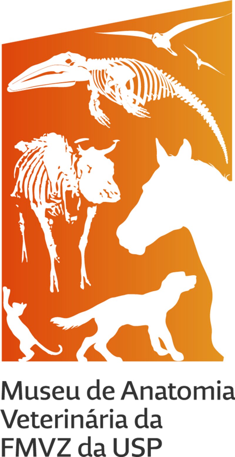 Logo MAV