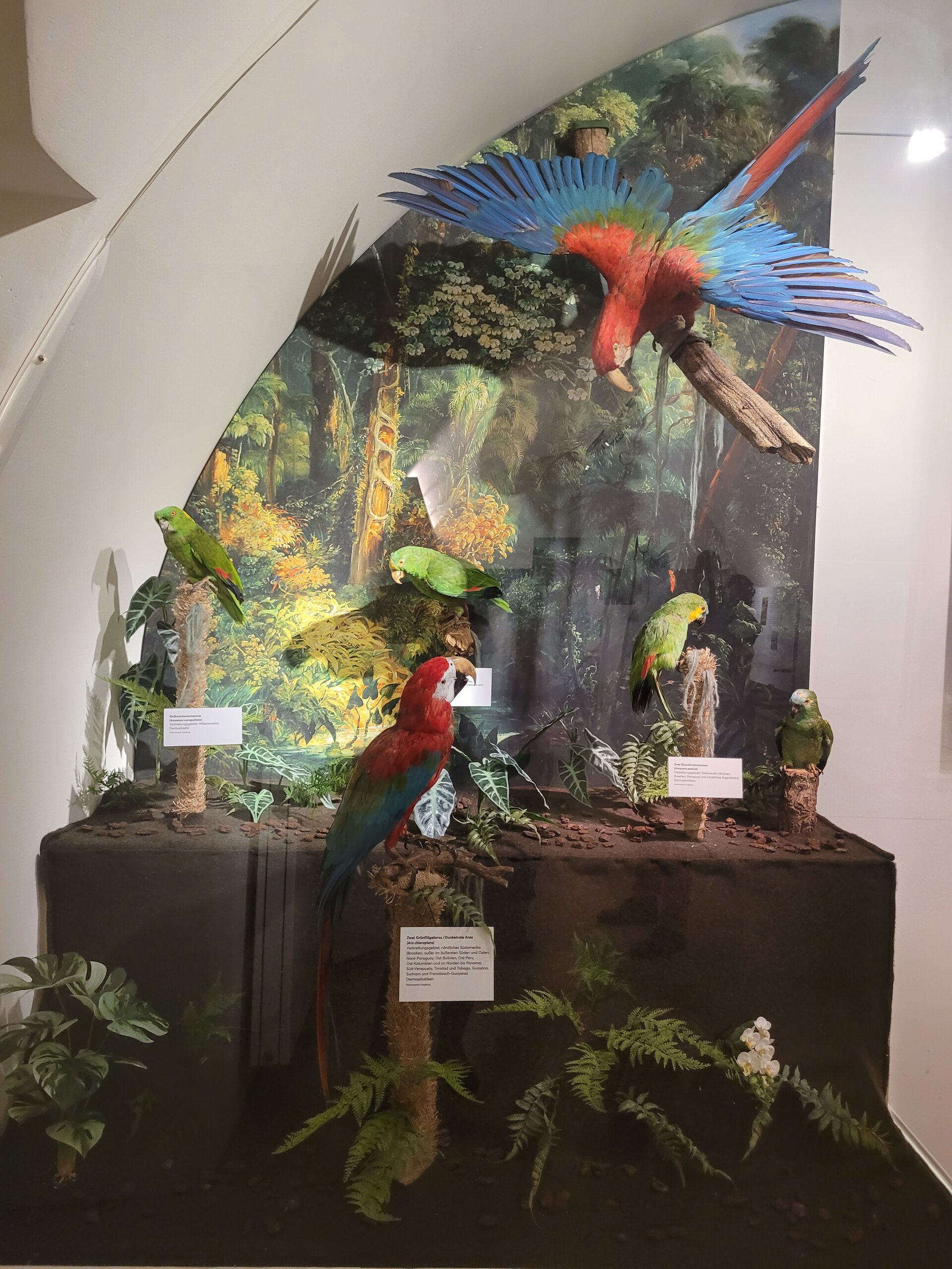 Bild der Ausstellung