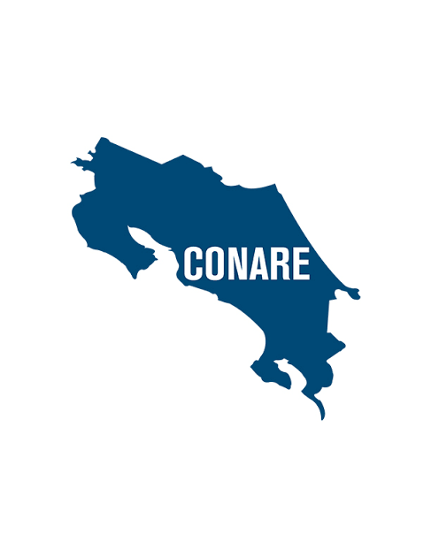 [Translate to Portugues:] Logo CONARE